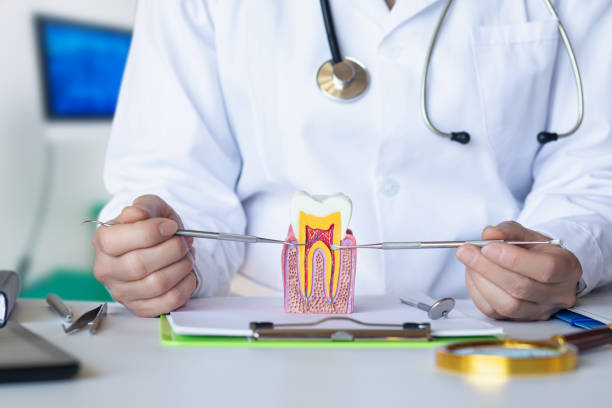 Best Emergency Care for Gum Disease in Bronson, FL